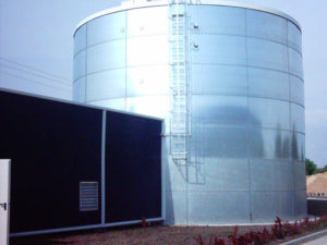 TZMO Toruń – Standard FM